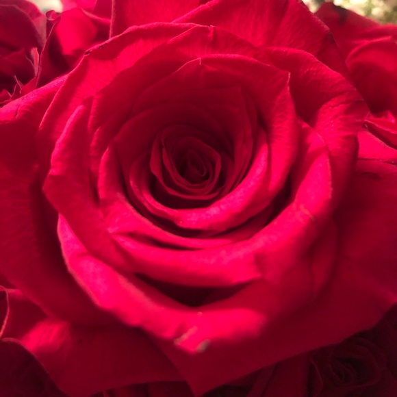 Meet your Posher, P - Picture 1 of 1